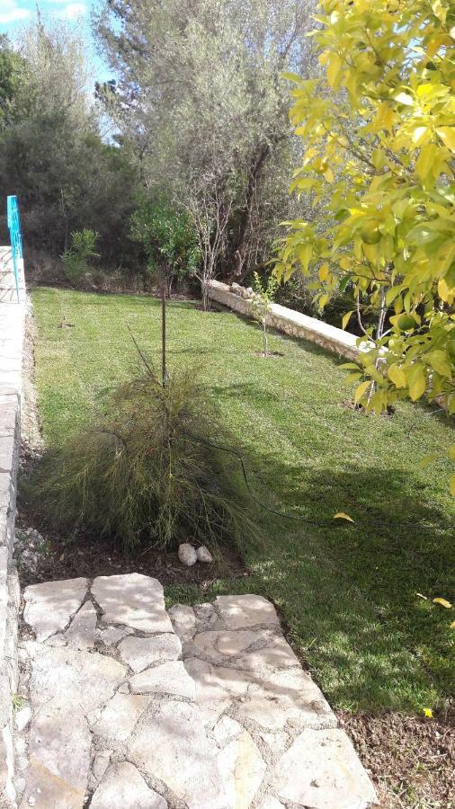 Kallimos Vasiliki  Exterior photo